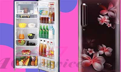 Refrigerator Repair Single Door