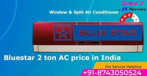 Read more about the article Bluestar ac 2 ton price